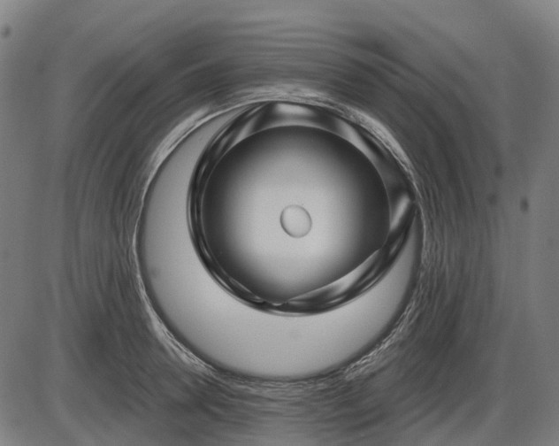X0000085320946200703161502