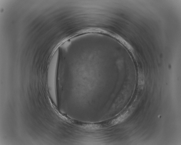 X0000085320953200703161502