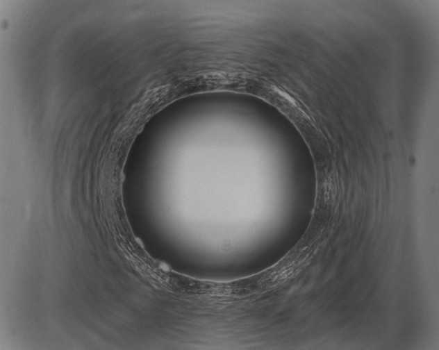 X0000085320961200703161501