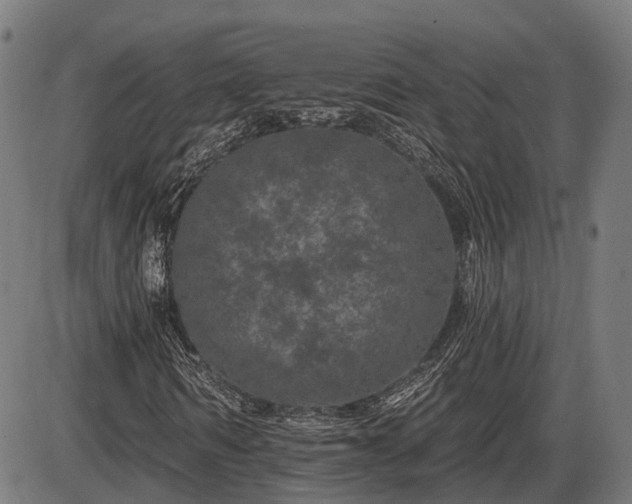 X0000085320962200703161501