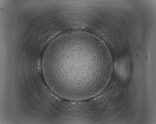 X0000085320963200703161501