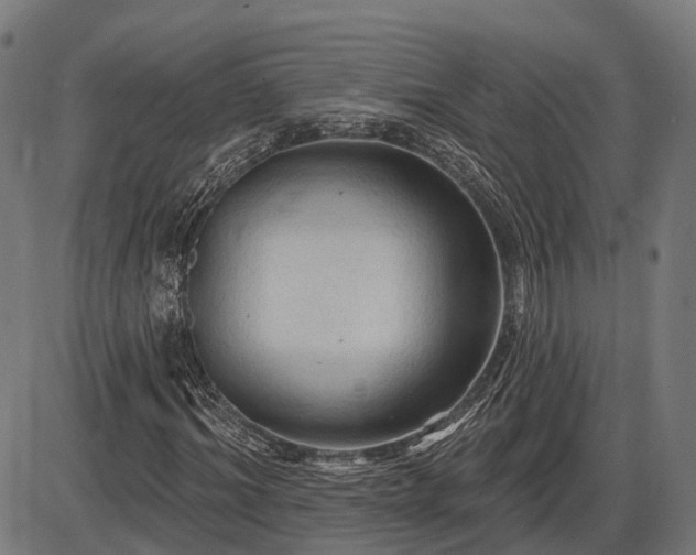 X0000085320964200703161501