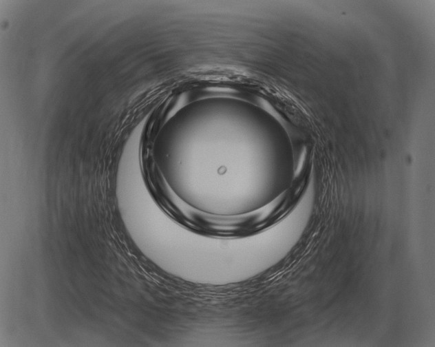 X0000085320965200703161501