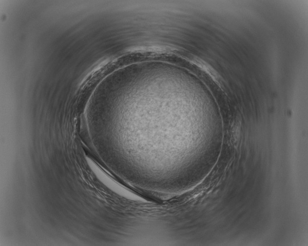 X0000085320967200703161501