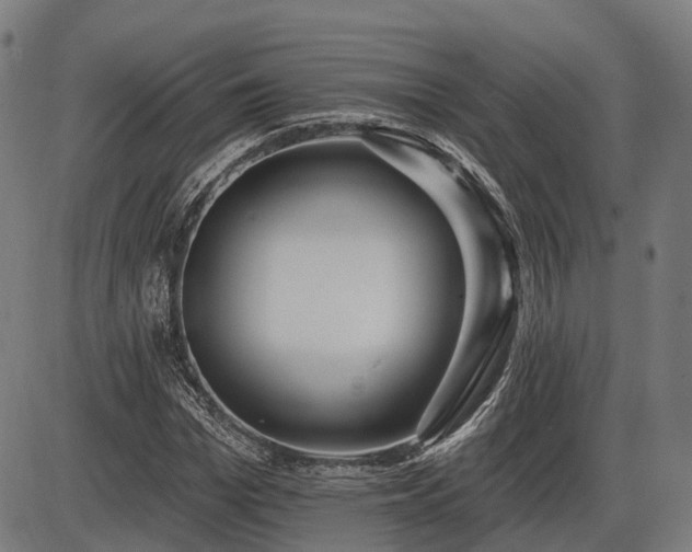 X0000085320969200703161501