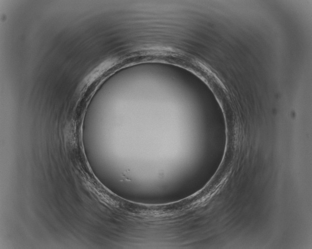X0000085320970200703161501