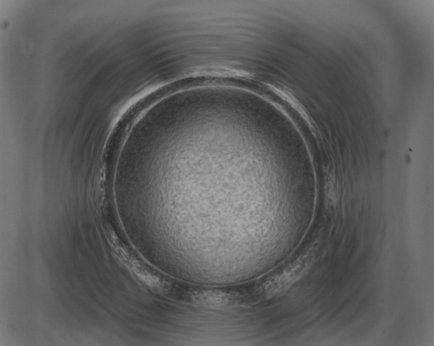 X0000085320971200703161501