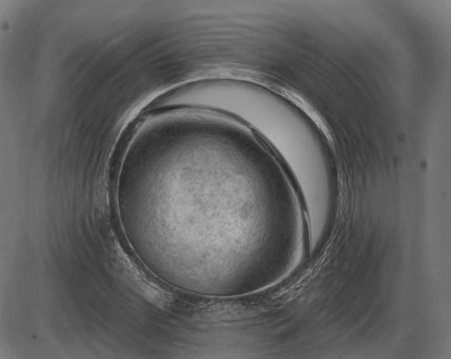 X0000085320972200703161501