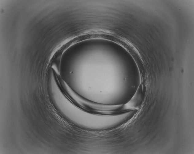 X0000085320973200703161501