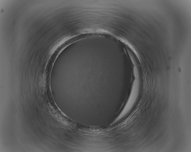 X0000085320975200703161501