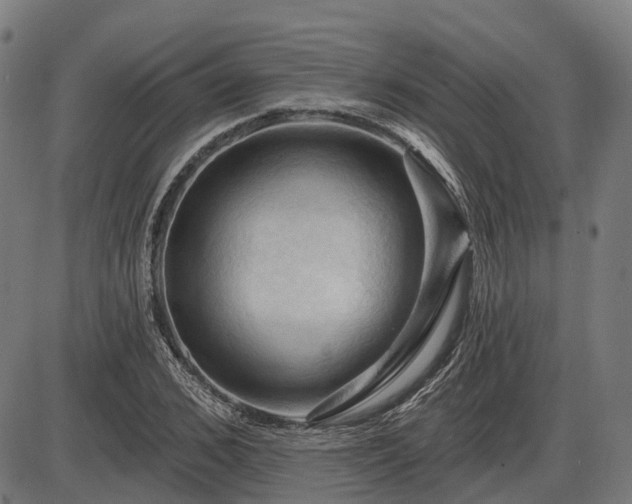 X0000085320976200703161501
