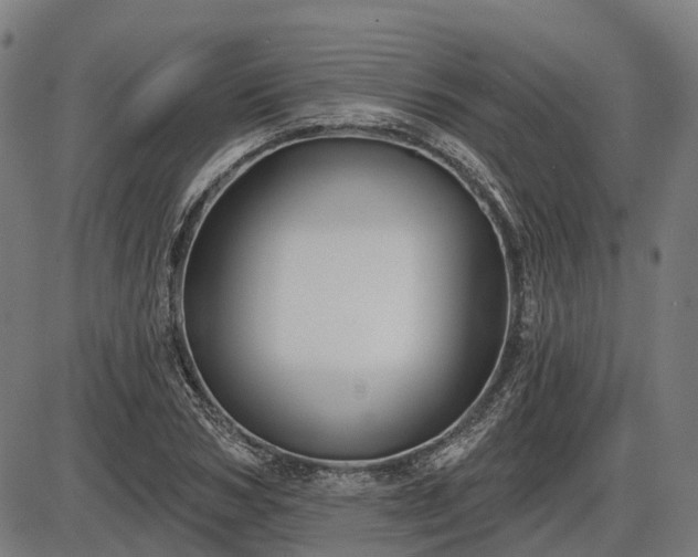 X0000085320978200703161501