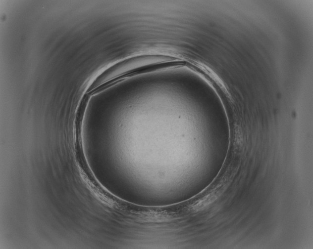 X0000085320980200703161501