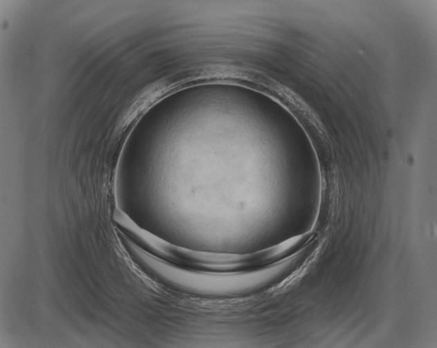 X0000085320985200703161501