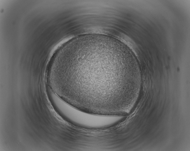 X0000085320987200703161501