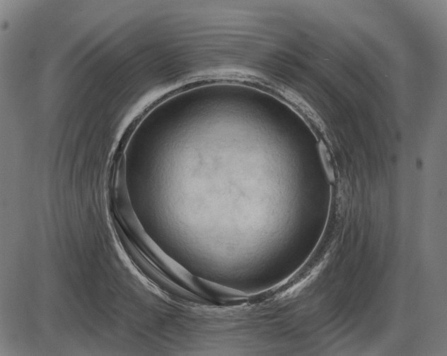 X0000085320989200703161501