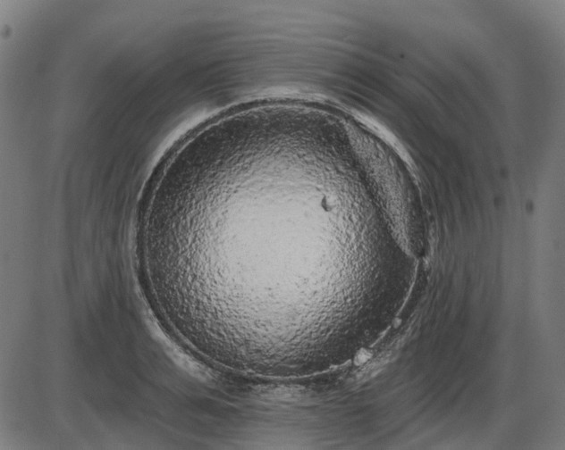 X0000085320991200703161501