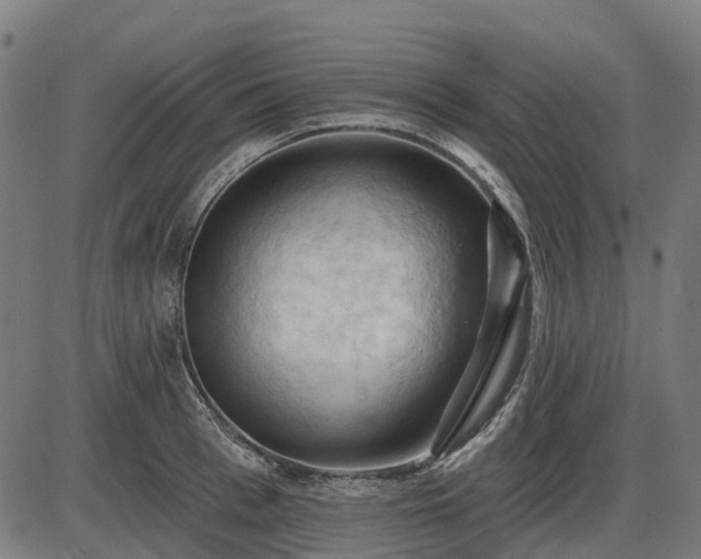 X0000085320993200703161501