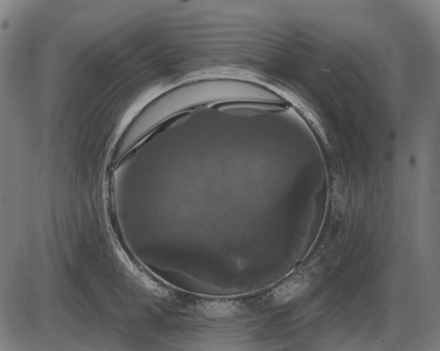 X0000085320998200703161501