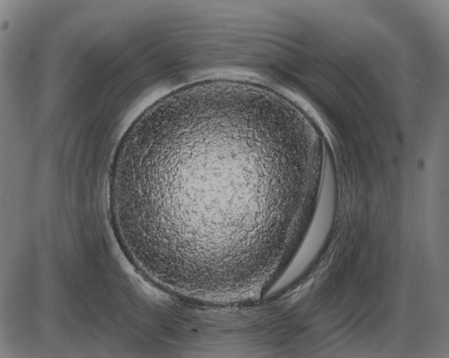 X0000085320999200703161501