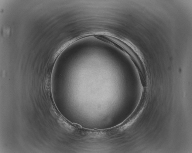 X0000085321001200703161501