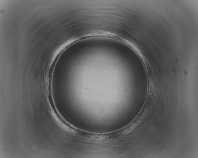 X0000085321003200703161501