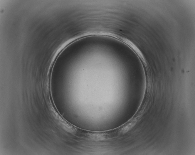 X0000085321004200703161501