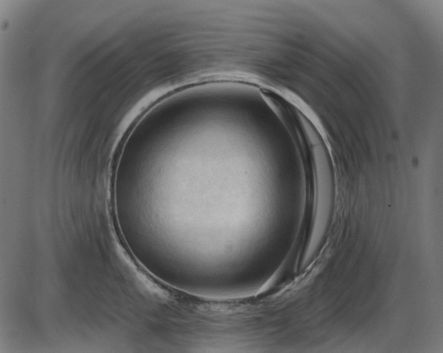 X0000085321005200703161501