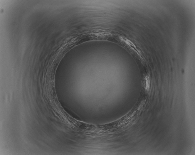 X0000085321009200703161500
