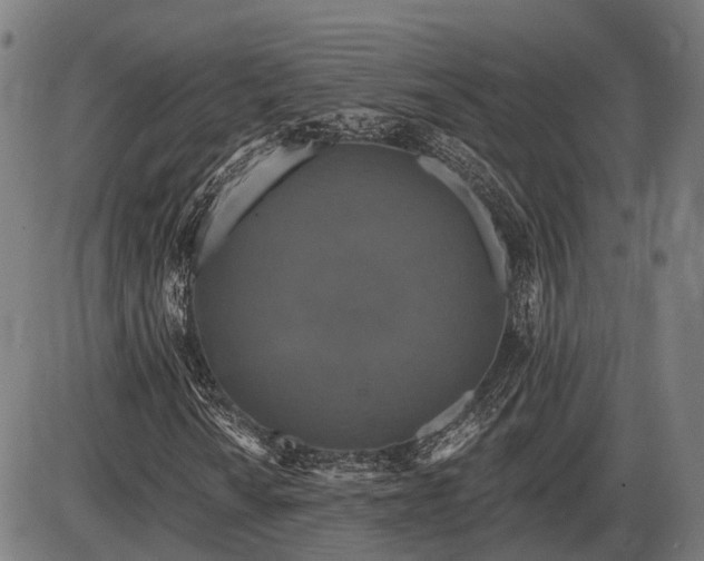 X0000085321010200703161500
