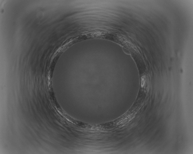 X0000085321011200703161500