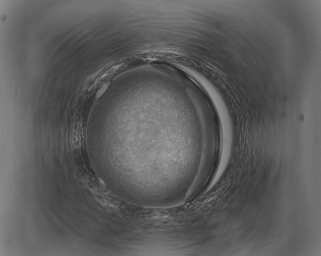X0000085321014200703161500