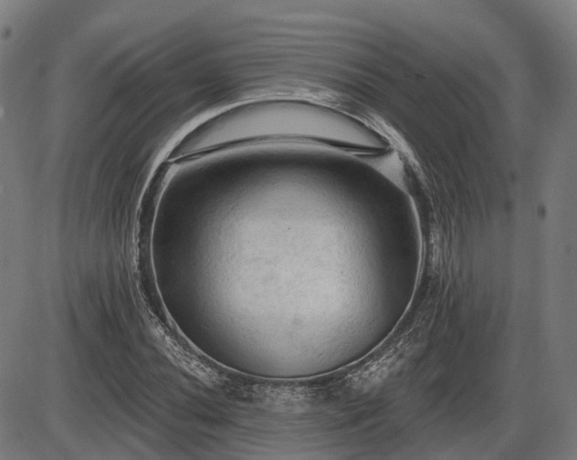 X0000085321020200703161500