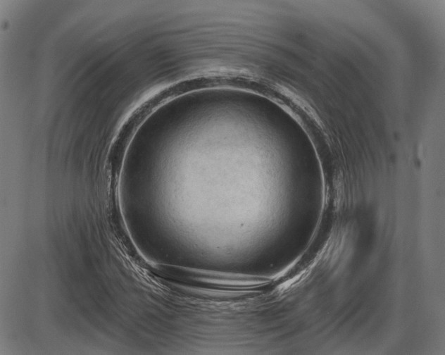 X0000085321021200703161500