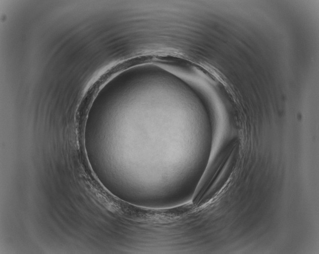 X0000085321022200703161500
