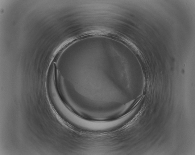 X0000085321034200703161500