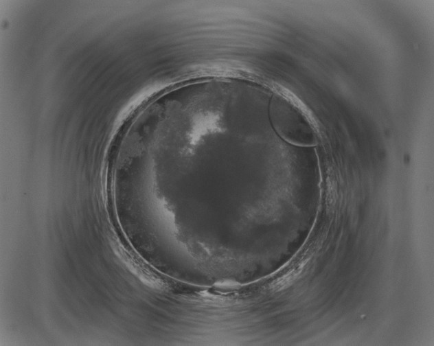 X0000085321035200703161500