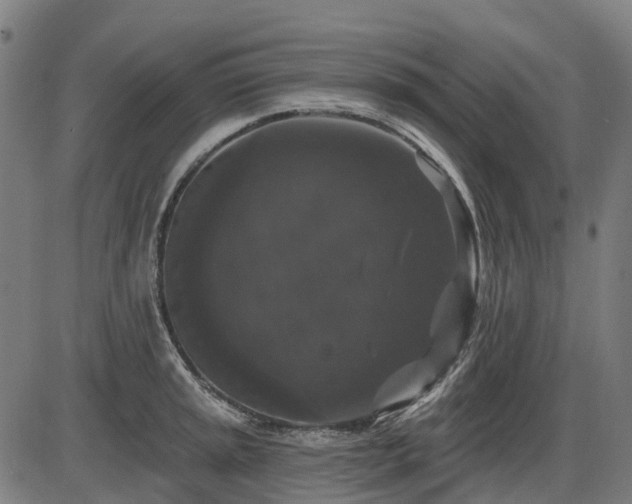 X0000085321045200703161500