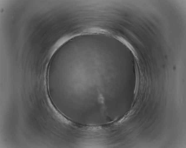 X0000085321055200703161501