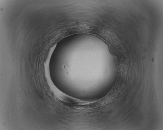 X0000085321057200703161500
