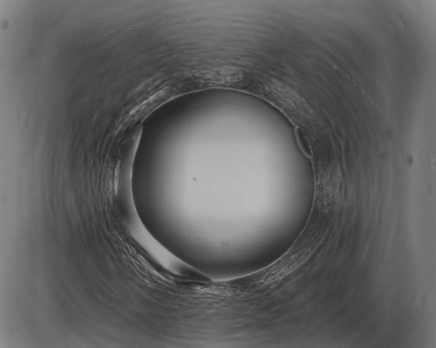 X0000085321058200703161500