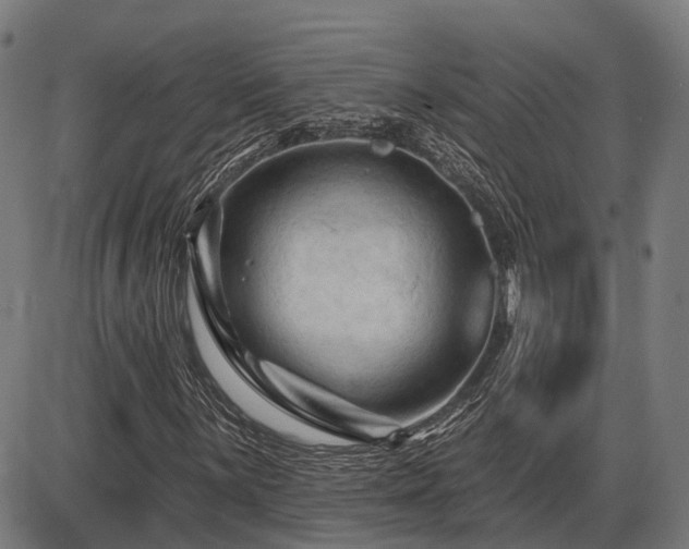 X0000085321059200703161500