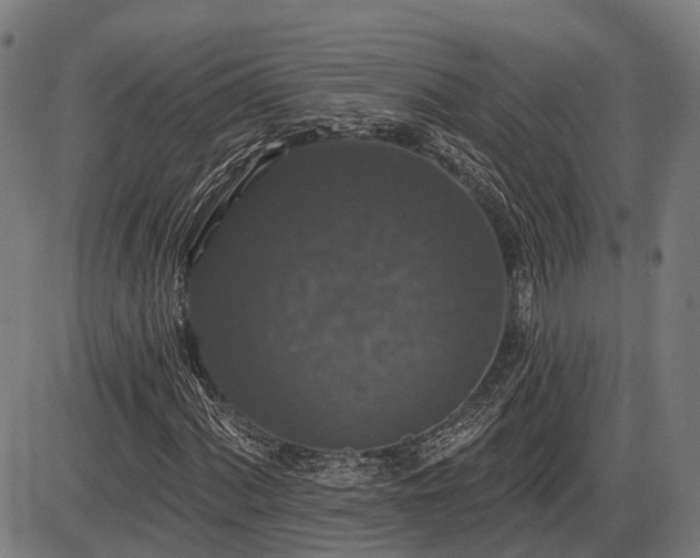 X0000085321060200703161500