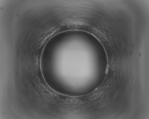 X0000085321061200703161500