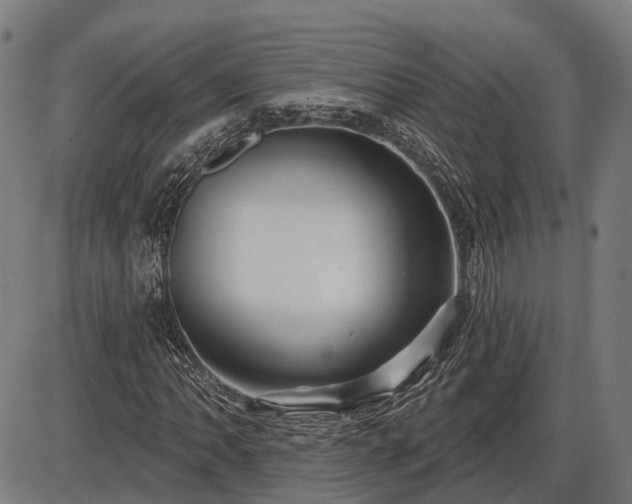 X0000085321062200703161500