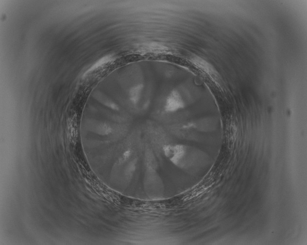 X0000085321063200703161500