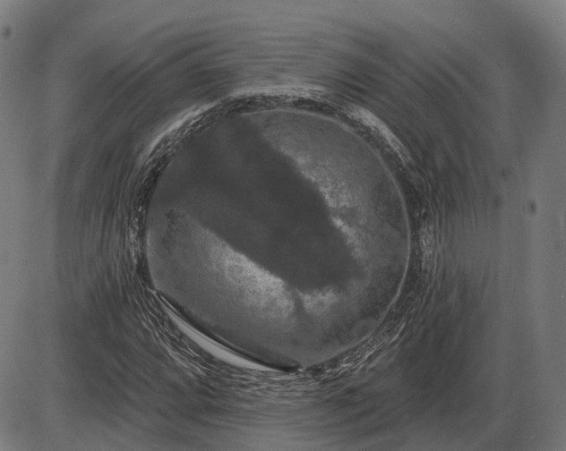 X0000085321064200703161500