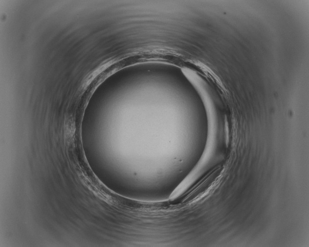 X0000085321065200703161500