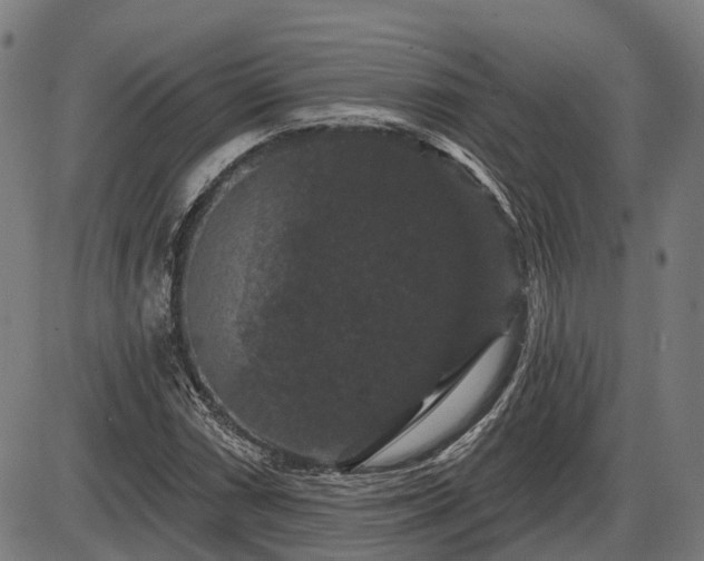 X0000085321066200703161500