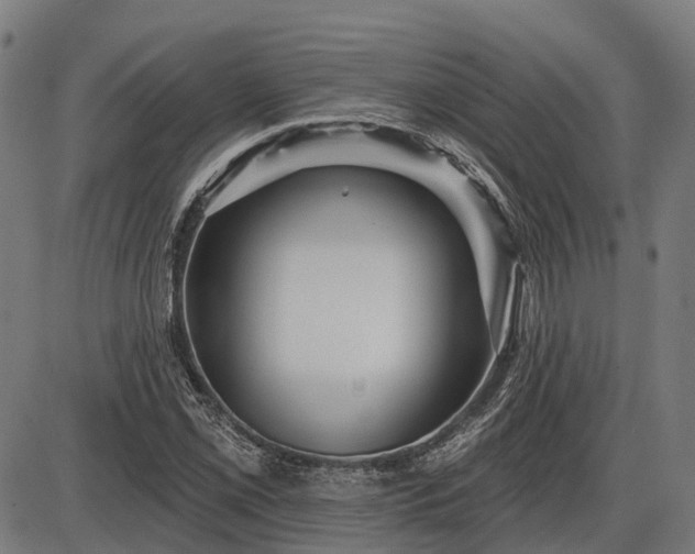 X0000085321069200703161500